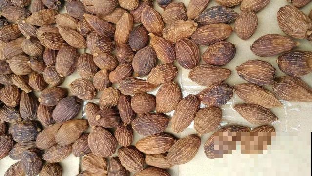 厨房常见的调味品，居然是花，长知识了！