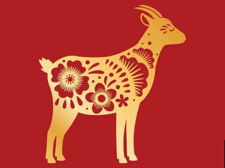 2021，十二生肖的运势，养什么花最旺？