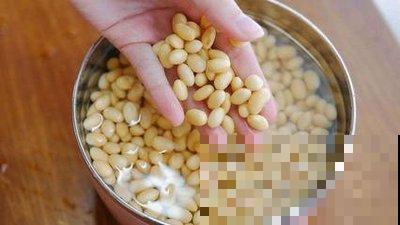 养花不用买肥料，在家自制氮肥，叶片油绿长得快！