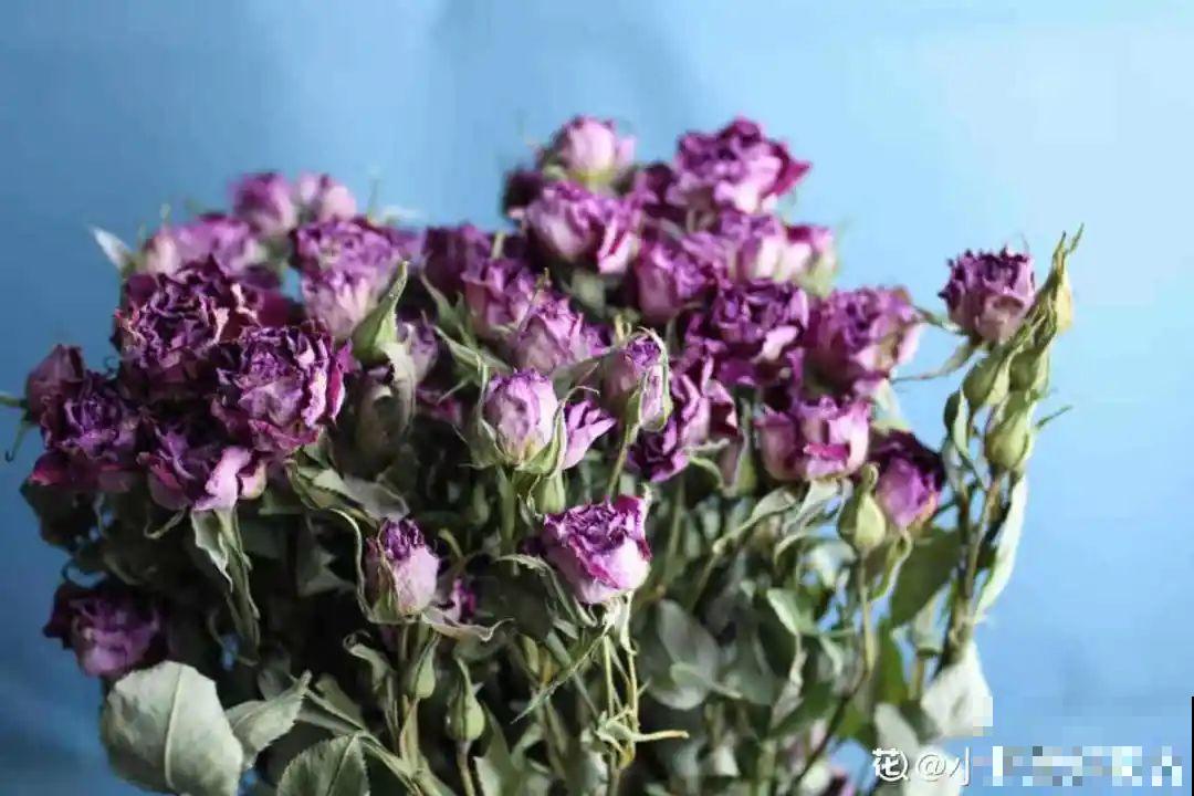干花制作方法，学会了超实用，留住花儿美好