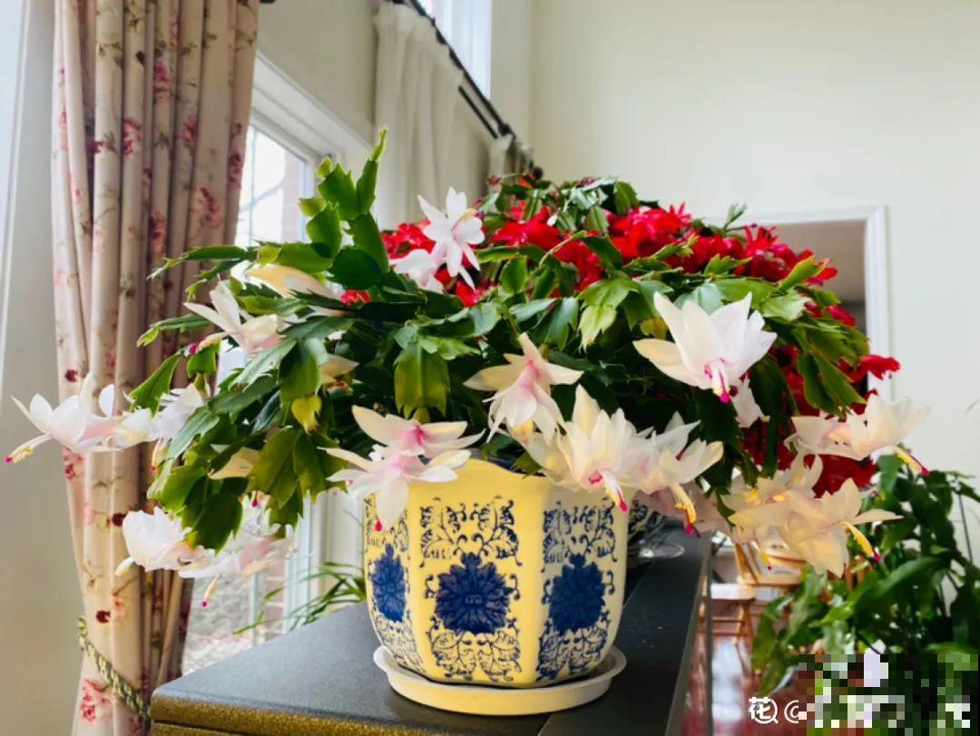 还有一个月过年！腊月的习俗，你知道几个？