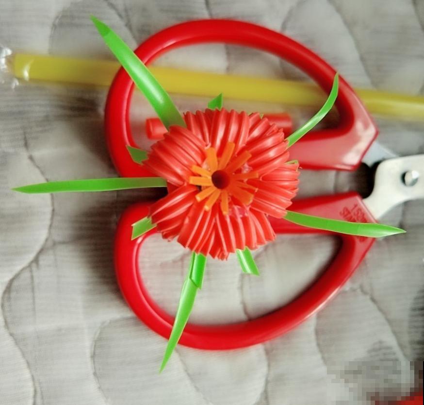 还买什么多肉浇水神器？一根吸管就搞定，怎么浇都不烂叶！