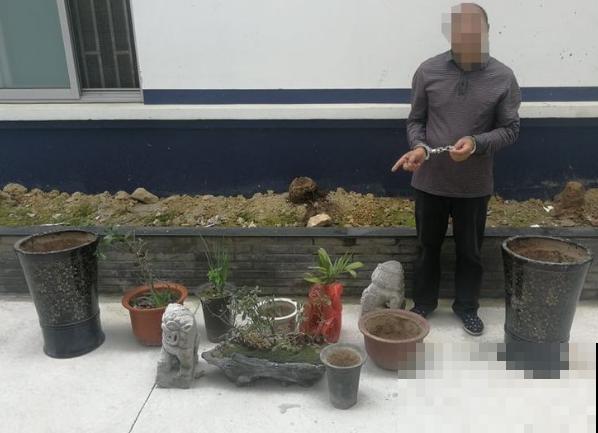 法院门口的花，全都被偷光，小偷的回答令人哭笑不得