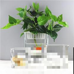 养花选盆很关键!选不好花盆,养再多花也没用! 养花选盆很关键!选不好花盆,养再多花也没用!