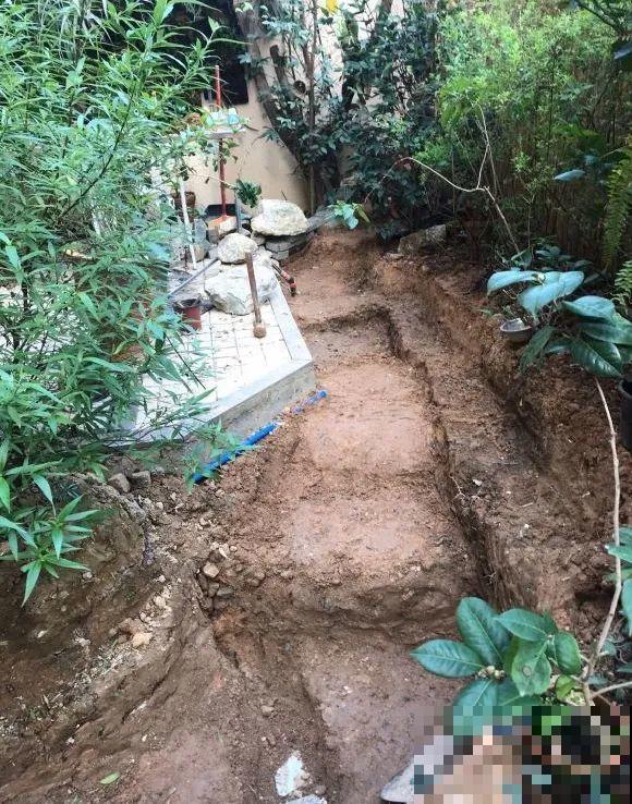 院子里挖了条小溪，做成水景美如画，看一整天也不烦