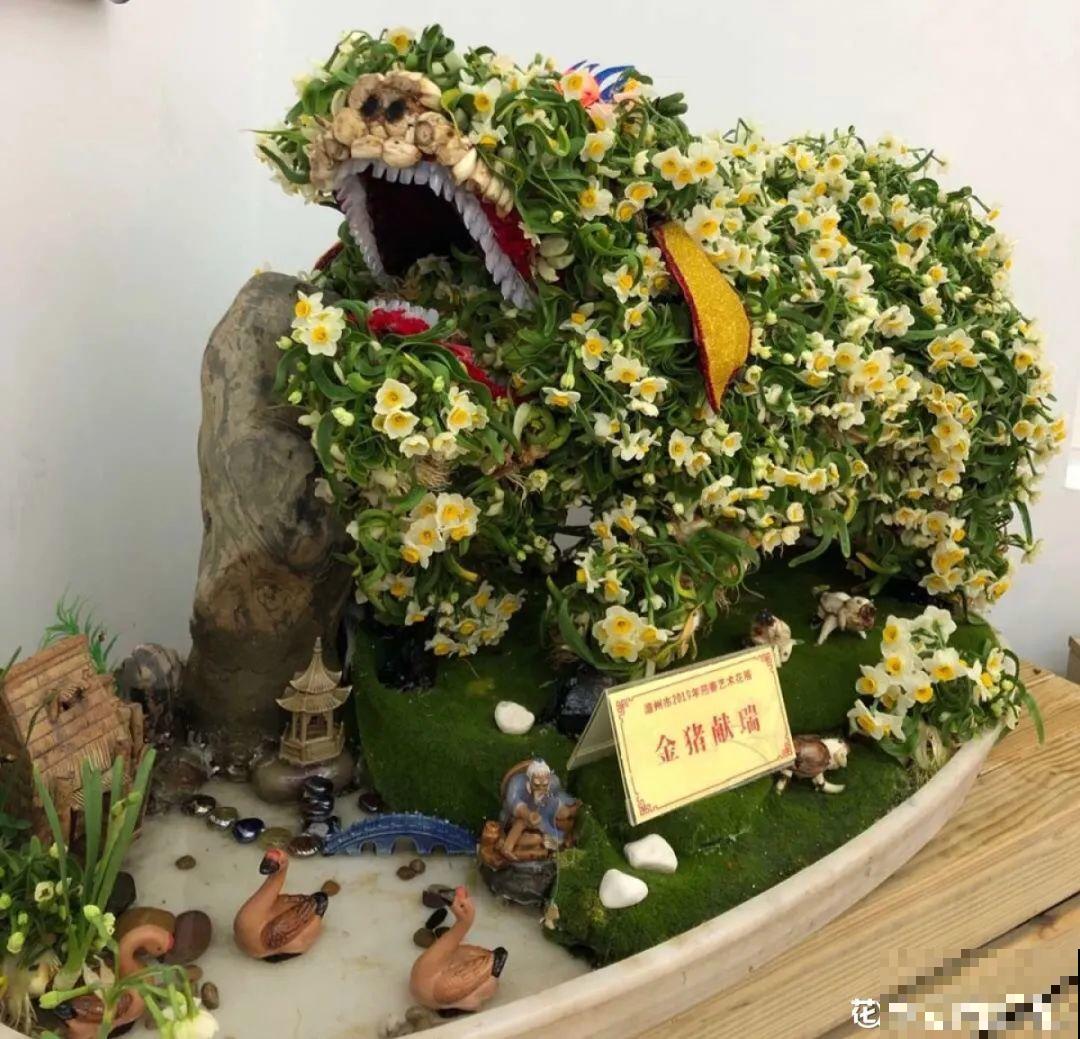 牙签串大蒜，冒充七彩水仙？千万别上当！