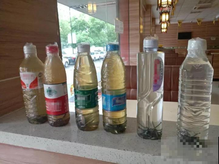 铁锈水浇花真的好用吗？看完这篇，养花才能不“踩雷”！