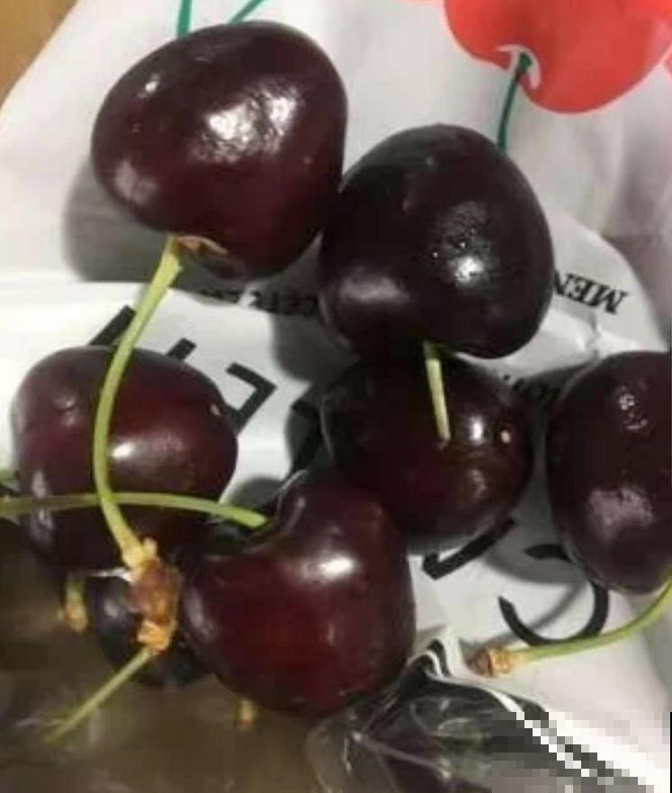 车厘子有什么好,价格贵得要命,吃多还便血,贫穷“救”了我! 车厘子有什么好,价格贵得要命,吃多还便血,贫穷“救”了我!