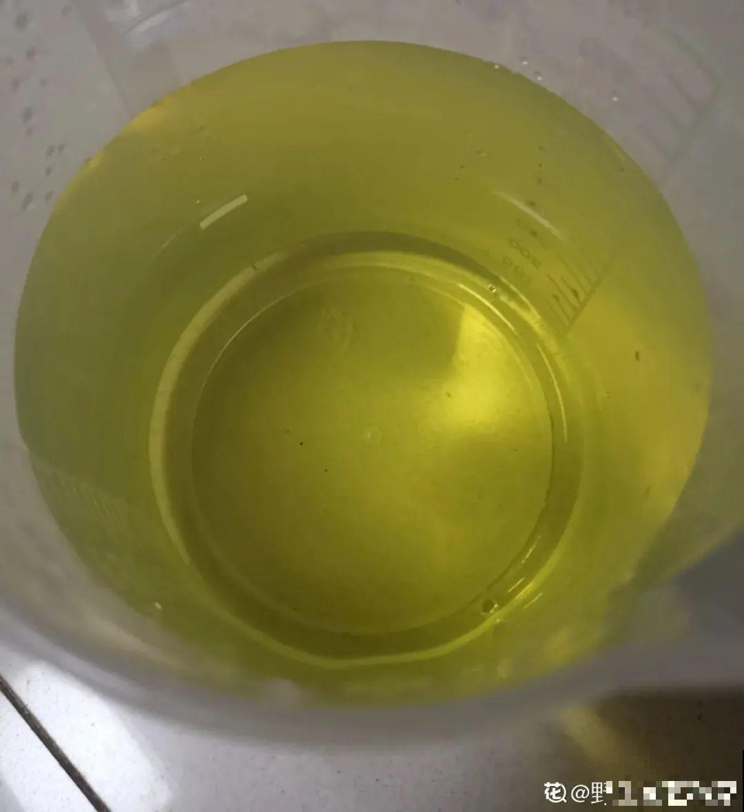 米兰花喜欢喝醋，一个月来一勺，花苞嘟噜噜冒