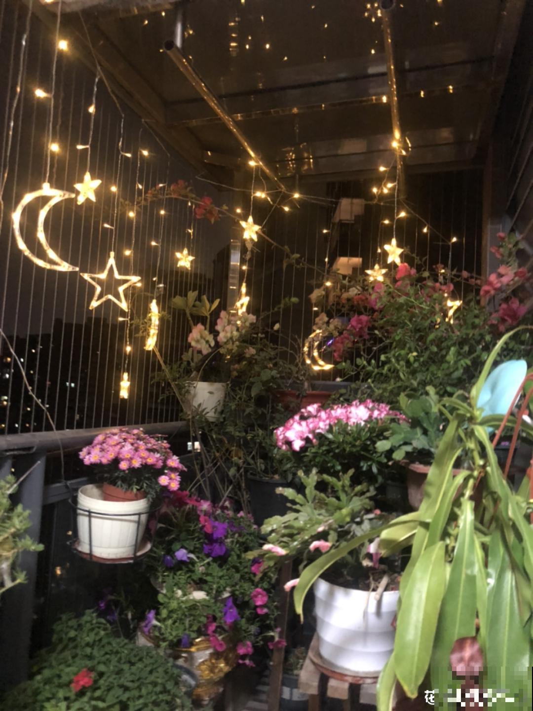 阳台虽小，种点花草，也能变成小花园