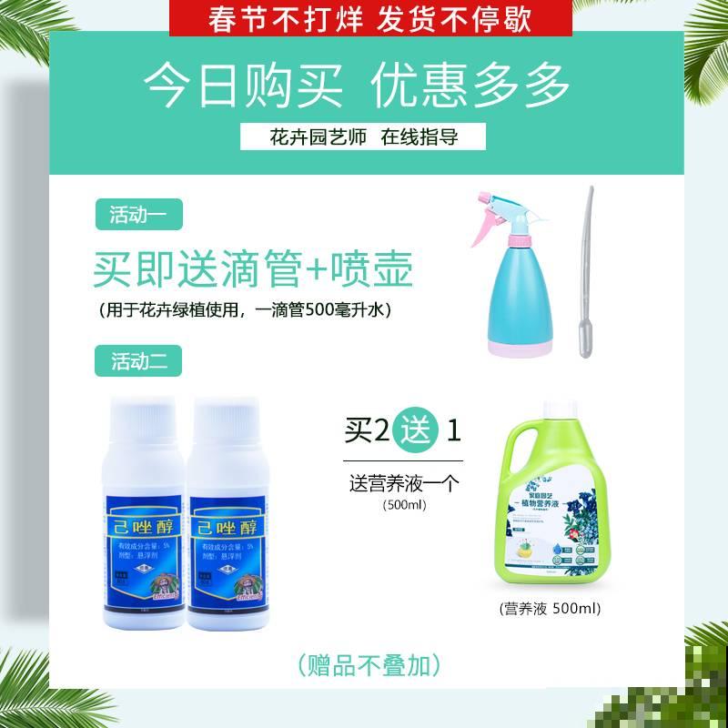 路边捡的无花果枝条，插土里很快生根，一年时间就能结果