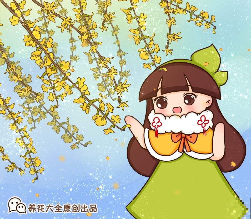 这5种花，先开花后长叶，非常奇特！