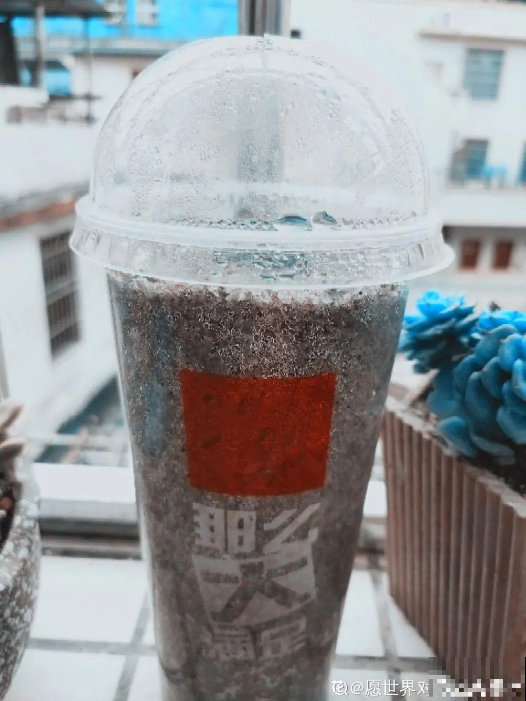 玉米棒子插水里，比绿植长得快，长成清新小盆栽