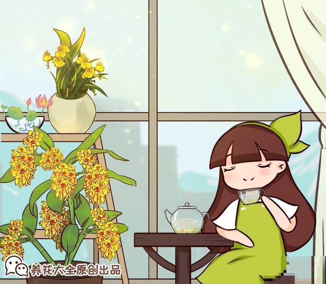 这浇花神器真方便,在家就能做,人不在照样能浇花 这浇花神器真方便,在家就能做,人不在照样能浇花