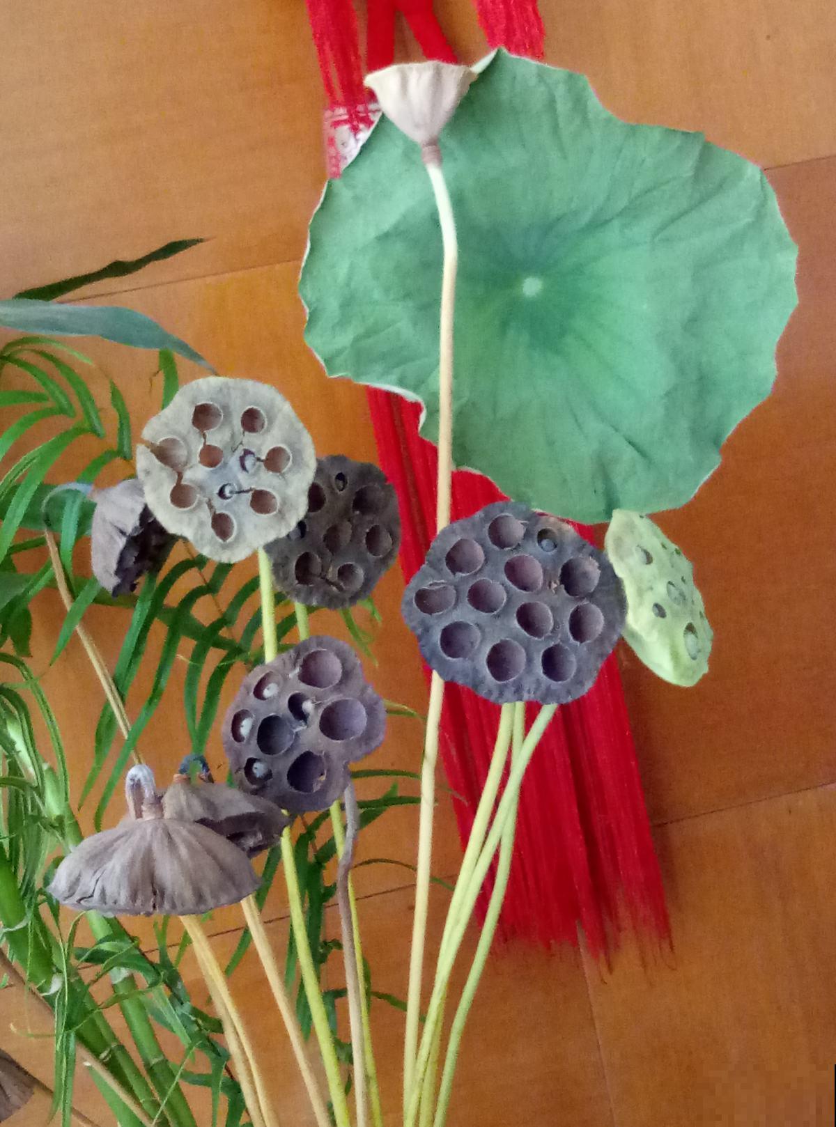 永远留住花朵的方法，就是把花晒干！