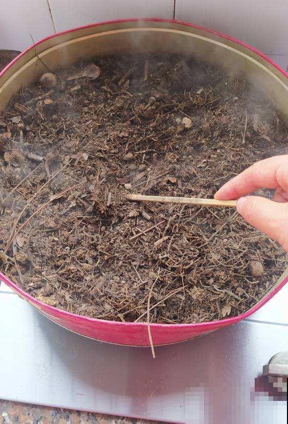 土壤板结,加这2样东西,土变疏松还肥得流油! 土壤板结,加这2样东西,土变疏松还肥得流油!