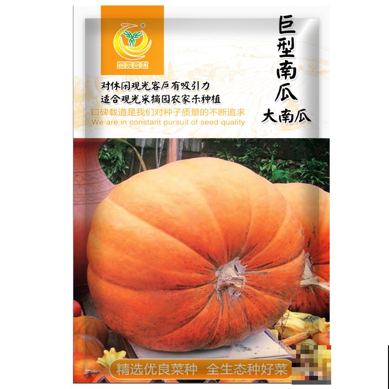 1种瓜真神奇,砍一刀很快就长出新的,边砍边吃真爽 1种瓜真神奇,砍一刀很快就长出新的,边砍边吃真爽