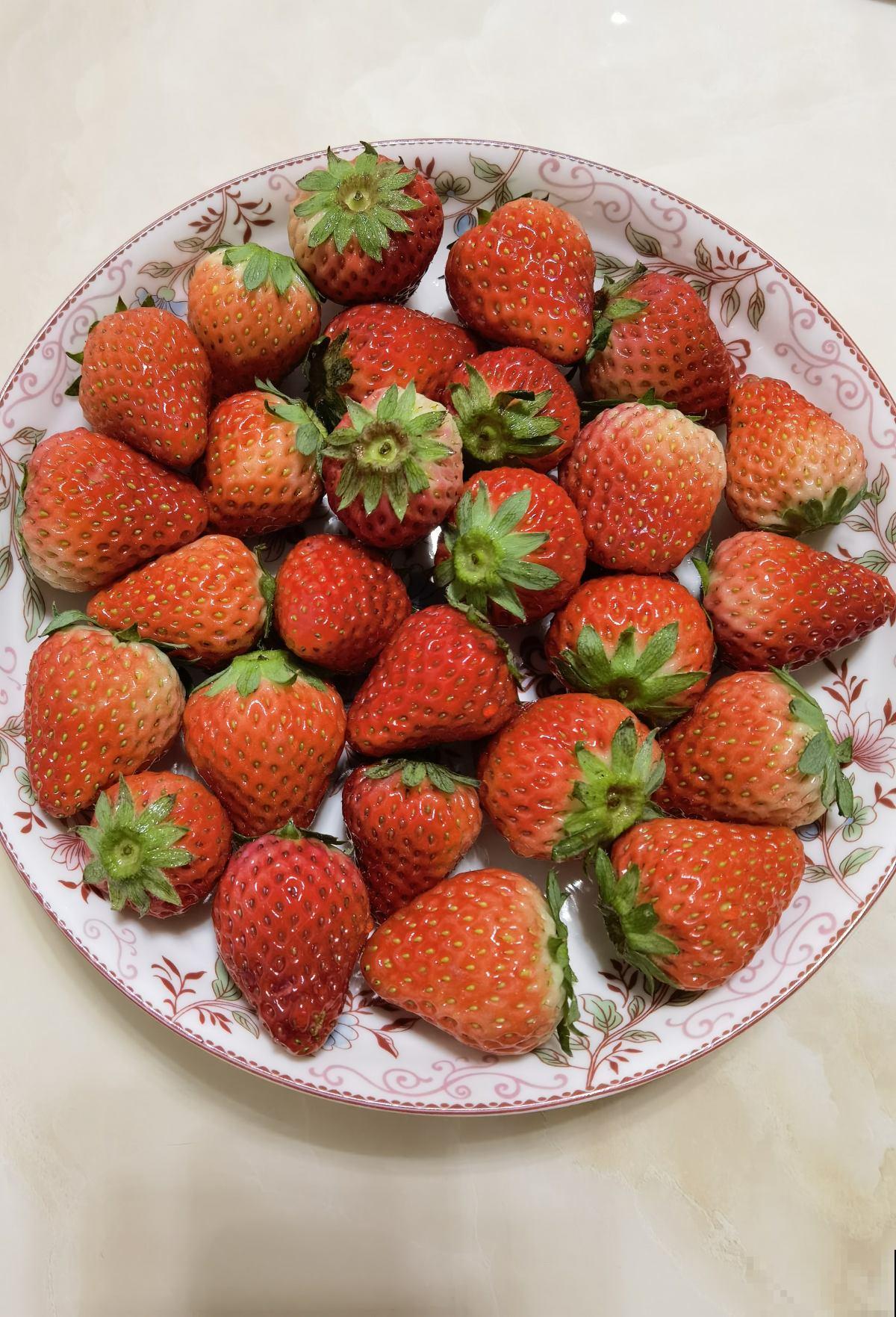 春天在家养盆草莓，初夏就能吃只需一块草莓皮