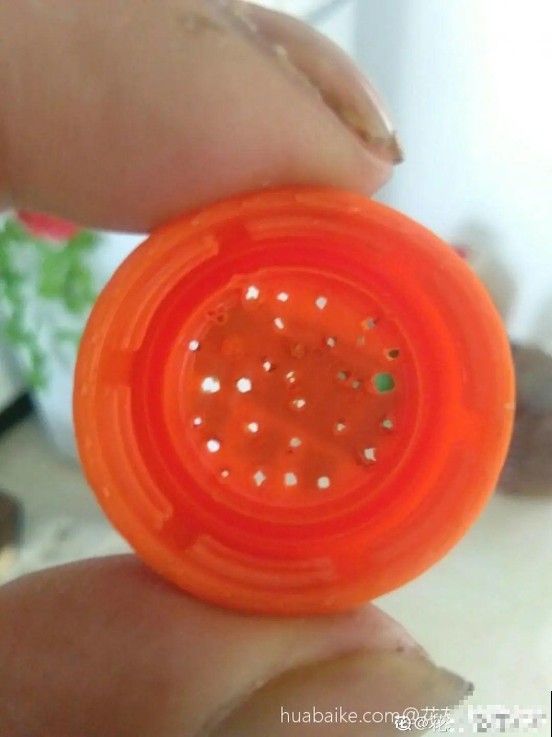 养多肉不用买花盆,只需一些水泥,自己就能DIY做花盆 养多肉不用买花盆,只需一些水泥,自己就能DIY做花盆