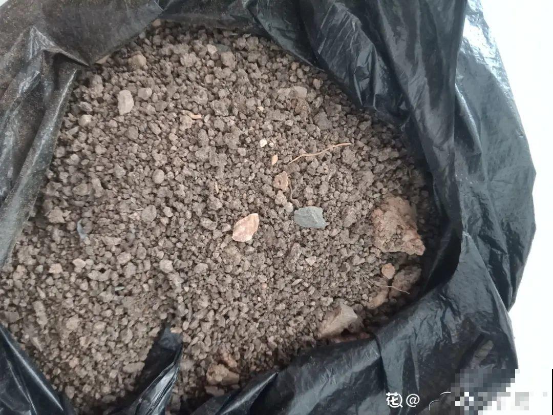 养多肉不用买花盆,只需一些水泥,自己就能DIY做花盆 养多肉不用买花盆,只需一些水泥,自己就能DIY做花盆