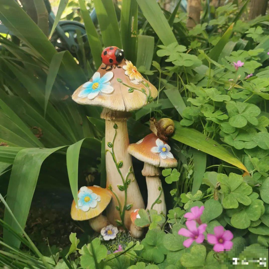 春天来了，有个院子养点花，简直太幸福