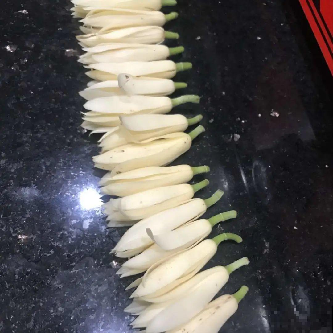 茉莉花养不好，主要是土壤问题，学会“调酸”很重要