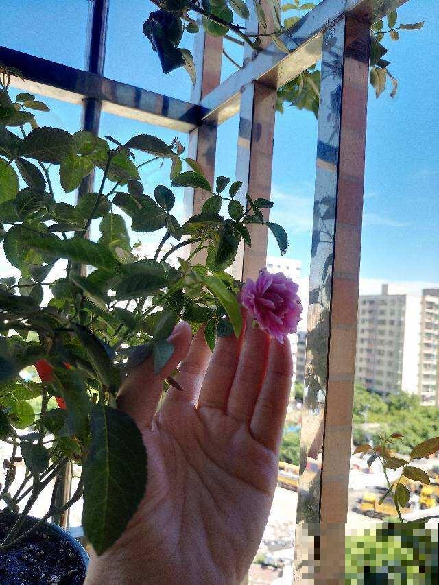 南方的“回南天”到了,室内湿度太大了,得赶紧除湿 南方的“回南天”到了,室内湿度太大了,得赶紧除湿