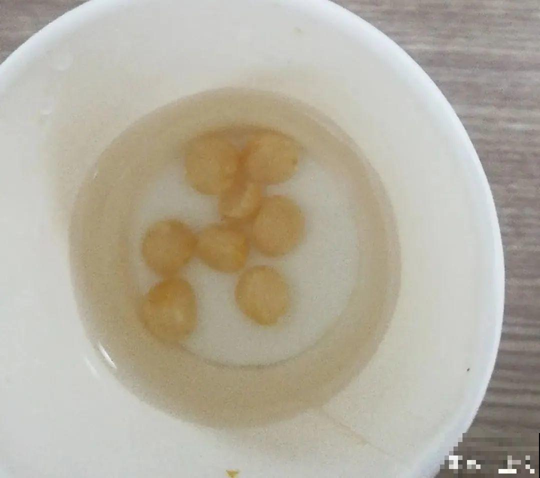 春天最佳繁殖季，扦插播种分株压条，成活率特高