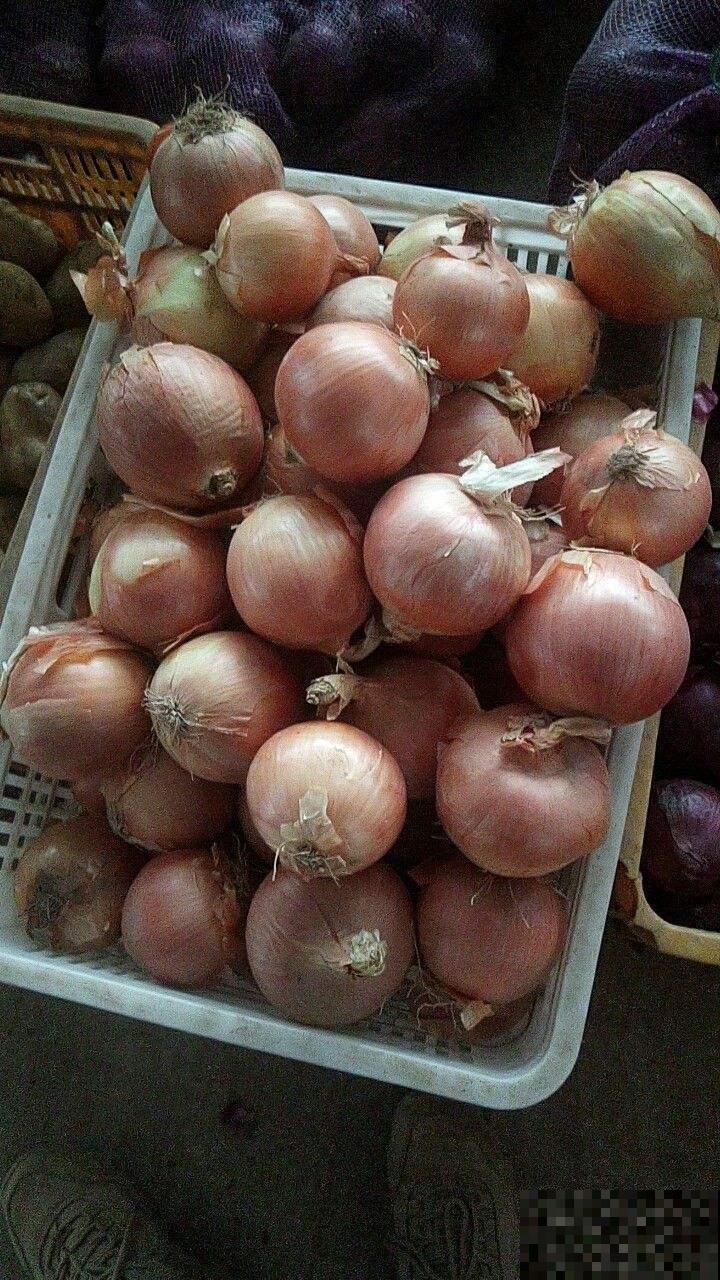 切洋葱会流泪？搞清楚原因，轻松守住泪腺！