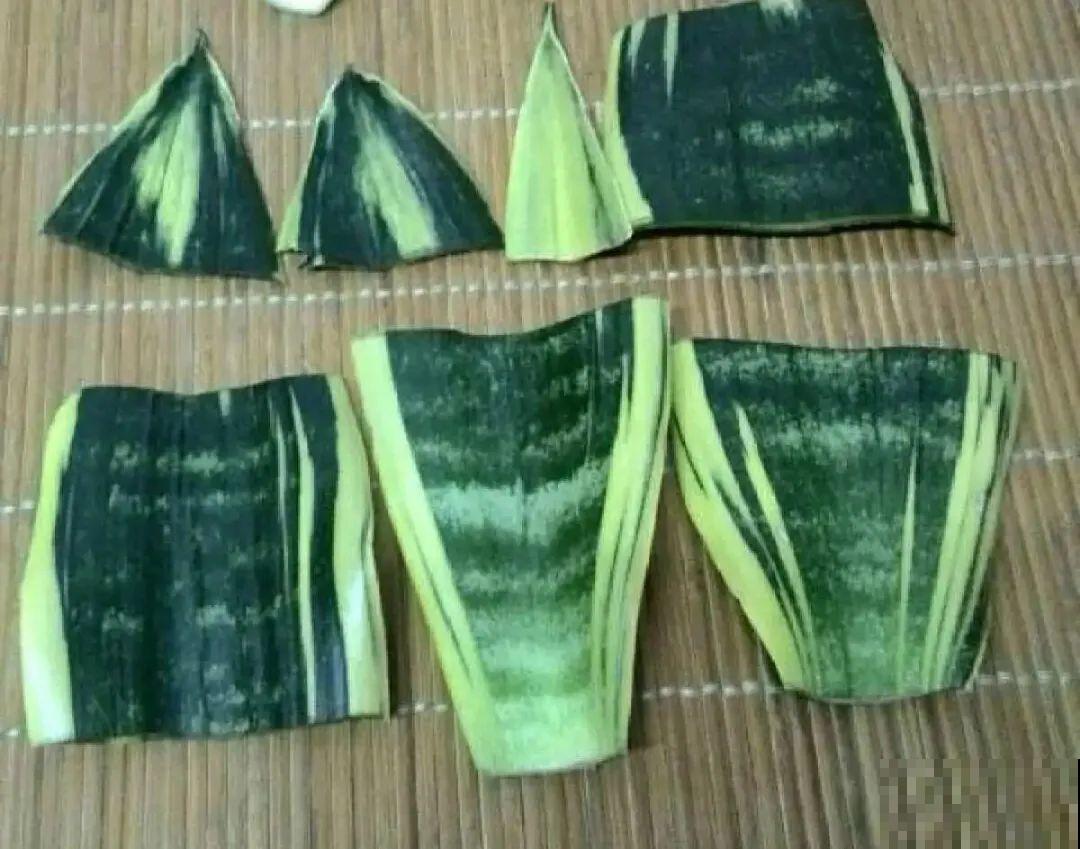 6种花夏天扦插,枝条剁8段、撒土里,3岁小孩都能插活! 6种花夏天扦插,枝条剁8段、撒土里,3岁小孩都能插活!