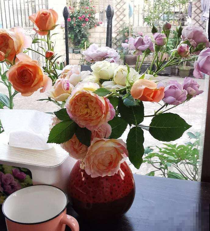 想在家里养花，先看看这5个忌讳，很多人都会犯！