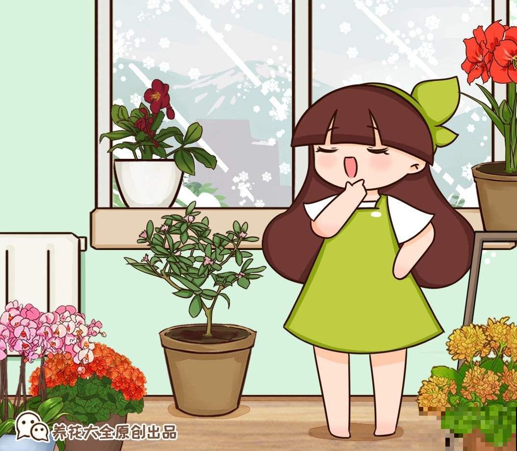 铁筷子非常小众，耐阴又耐寒，养护方法一定要掌握好！