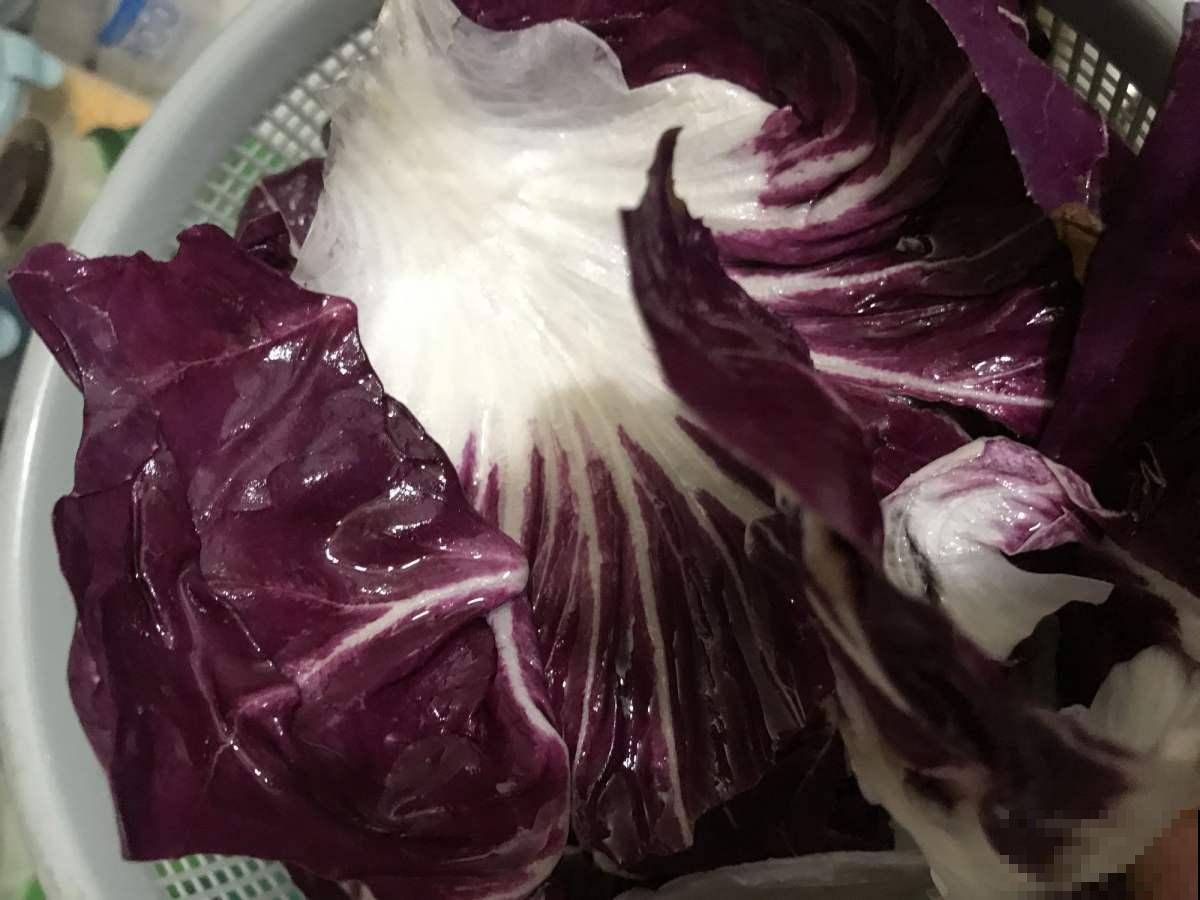 家里种棵“紫色果树”,结出紫色果实,营养价值超高 家里种棵“紫色果树”,结出紫色果实,营养价值超高