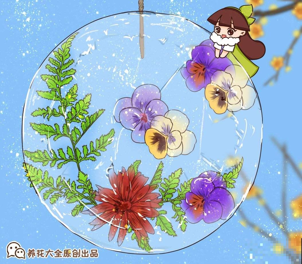 夏天养花，换个清凉方式，来点不一样的感觉