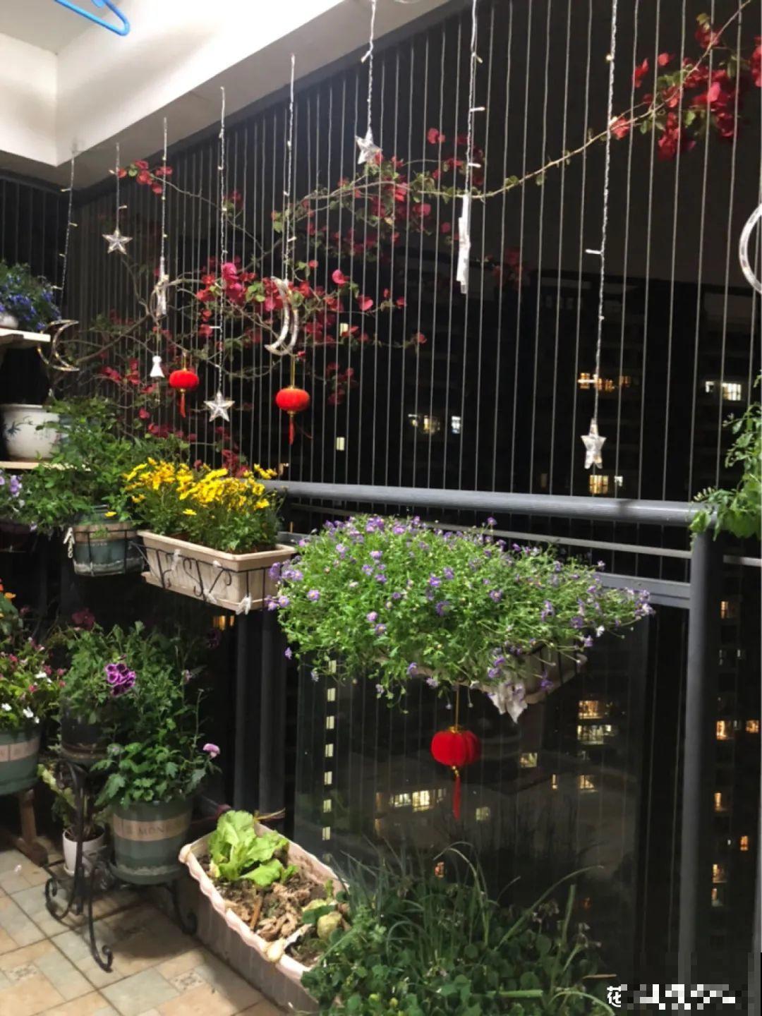 阳台虽小，种点花草，也能变成小花园