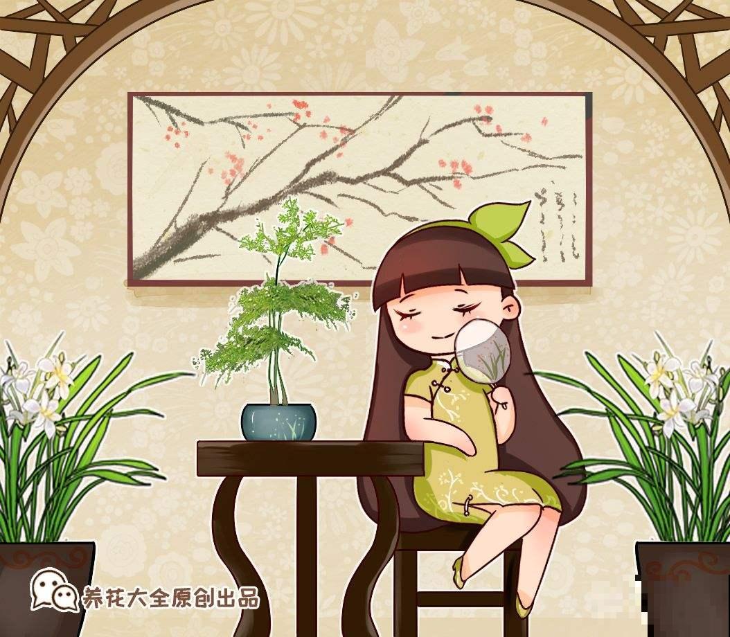 文竹总黄叶，要及时剪掉，新叶子才会继续长