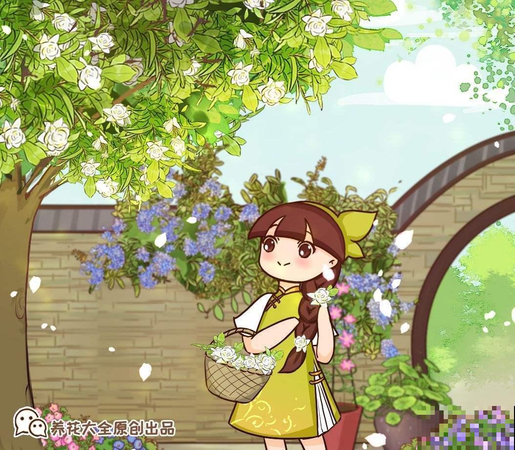 庭院养花还不知道怎么选？现在就教你，庭院一年四季美到头！