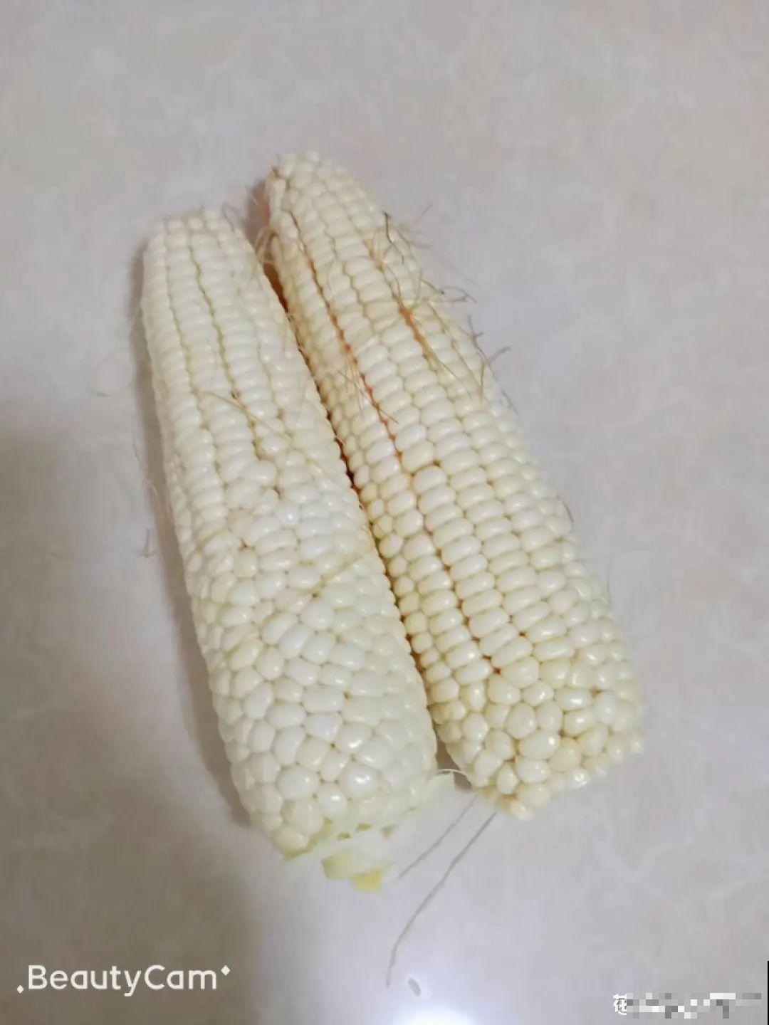 玉米棒子插水里，比绿植长得快，长成清新小盆栽