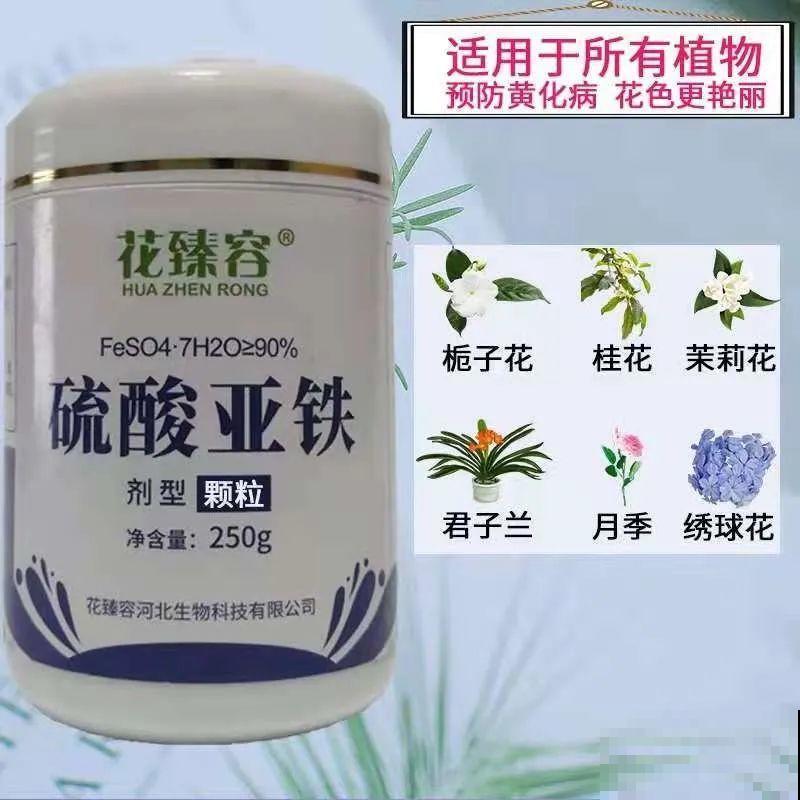 养花必备硫酸亚铁,叶子变绿了,小芽呼呼冒 养花必备硫酸亚铁,叶子变绿了,小芽呼呼冒