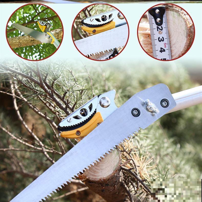 一种花名叫“天天开”,修剪一下,还能长成小花树! 一种花名叫“天天开”,修剪一下,还能长成小花树!