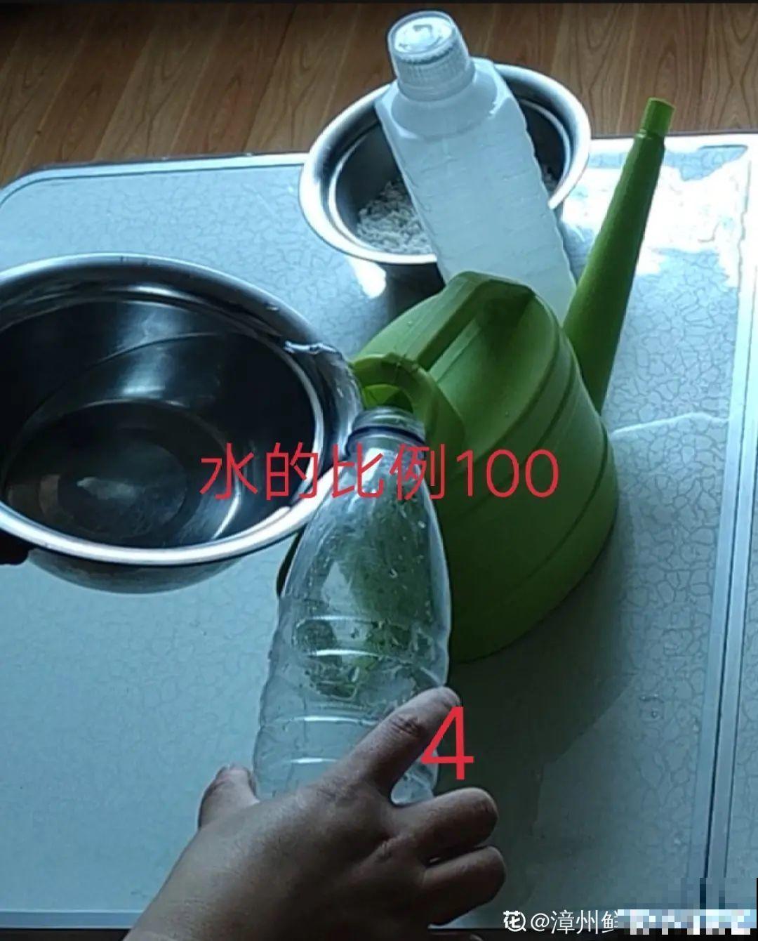 给花浇水掺点白醋，植物根比萝卜还粗，健壮不黄叶