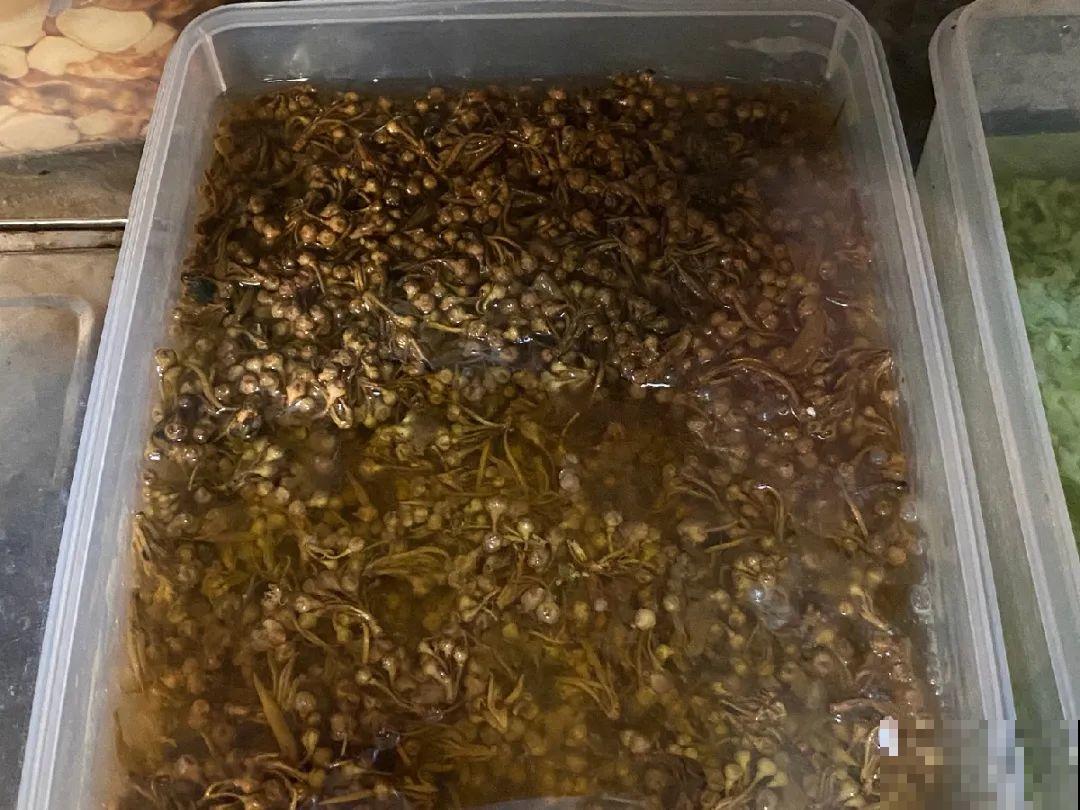 香飘飘的花,吃一口满嘴花香,再不吃就没了 香飘飘的花,吃一口满嘴花香,再不吃就没了