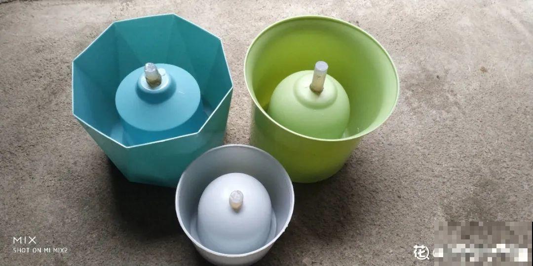 养多肉不用买花盆,只需一些水泥,自己就能DIY做花盆 养多肉不用买花盆,只需一些水泥,自己就能DIY做花盆