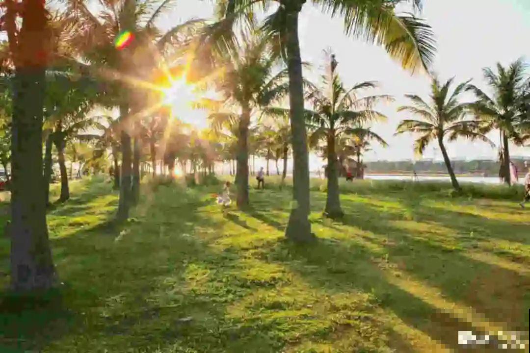 医院大门口,一男子竟被一片叶子砸晕,这叶子可真够大的 医院大门口,一男子竟被一片叶子砸晕,这叶子可真够大的