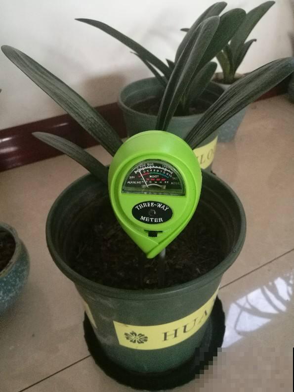 南方的“回南天”到了,室内湿度太大了,得赶紧除湿 南方的“回南天”到了,室内湿度太大了,得赶紧除湿