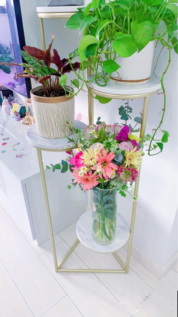 邻居的院子里放了4样东西，颜值提升不少，还特实用