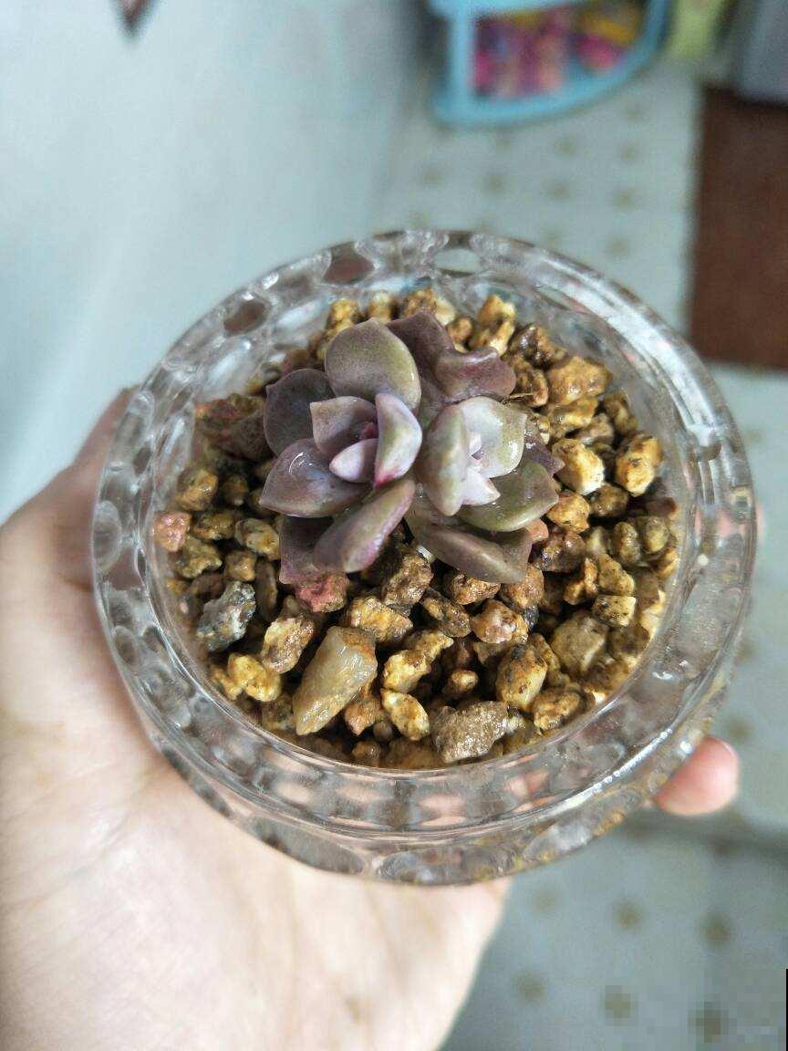 木地板的保养技巧,学会了受益十几年,地板光亮如新 木地板的保养技巧,学会了受益十几年,地板光亮如新