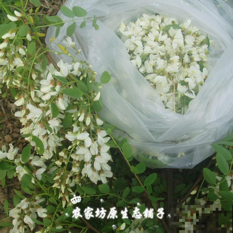 家门口40年的大槐树，有人想砍掉，村里人坚决反对