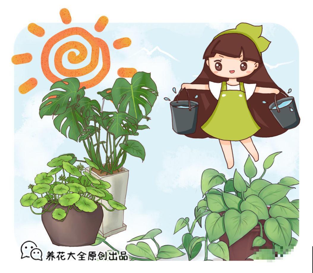 这浇花神器真方便,在家就能做,人不在照样能浇花 这浇花神器真方便,在家就能做,人不在照样能浇花