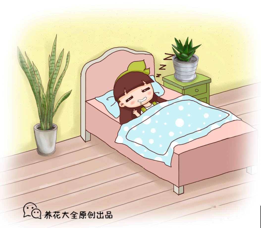 卧室植物这么摆，设计感好，又睡得香